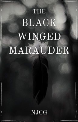 The Black Winged Marauder