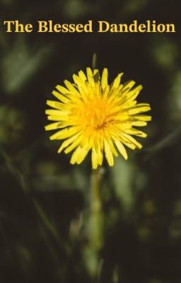 The Blessed Dandelion (The Glass Scientists fanfic story) (slow writing)