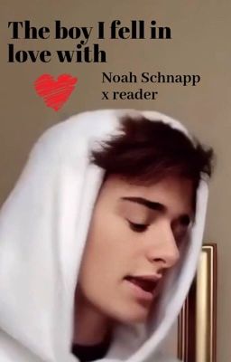 The boy I fell in love with/ Noah schnapp x reader