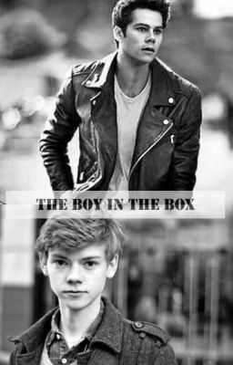 The Boy In The Box (Newtmas au)