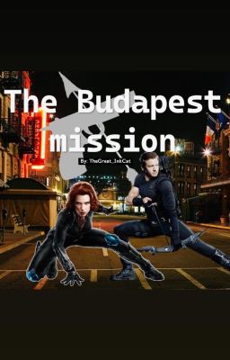 The Budapest mission