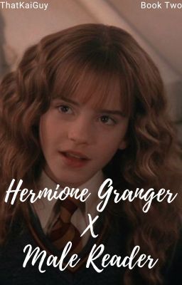 The Chamber of Secrets (Hermione Granger x Male Reader)