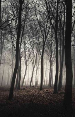 The creepy forest