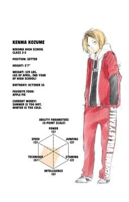 The day we met||Y/n x Kenma Kozume