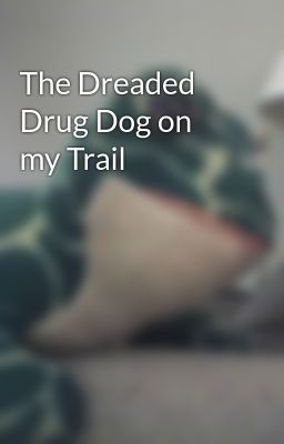 The Dreaded Drug Dog on my Trail