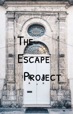 The Escape Project. // Toy Soldiers