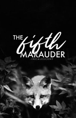 Read Stories The Fifth Marauder - TeenFic.Net