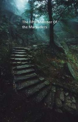 Read Stories The Fifth Member Of The marauders - Regulus black  - TeenFic.Net