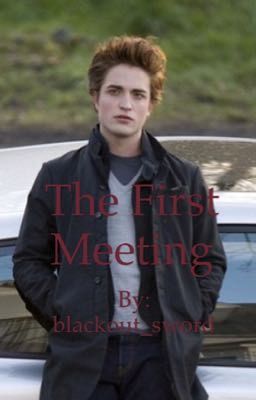 The first meeting
