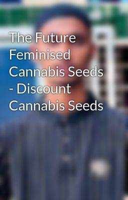 The Future Feminised Cannabis Seeds - Discount Cannabis Seeds