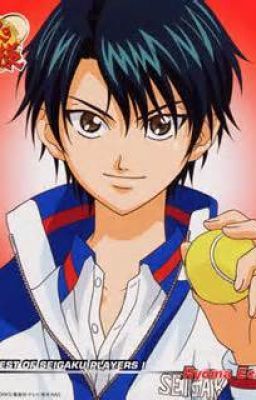 The Girl Genius From America (Ryoma Echizen x Reader)