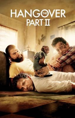 The Hangover Part II| Phil Wenneck x OC