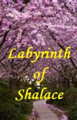 The Labyrinth of Shalace