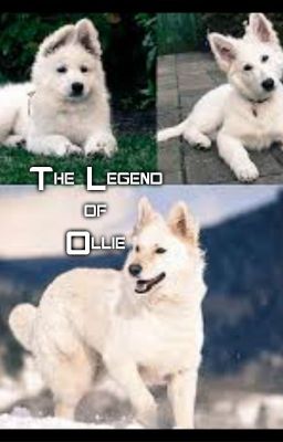 The Legend of Ollie (FANFIC)