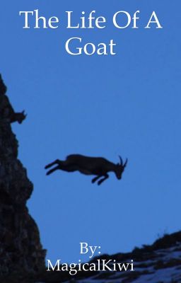 The Life Of A Goat