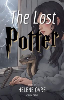 The Lost Potter