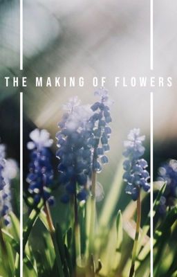 The Making Of Flowers || A tragedy.