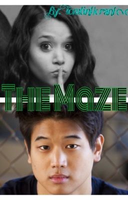 The Maze (Minho Fanfiction)