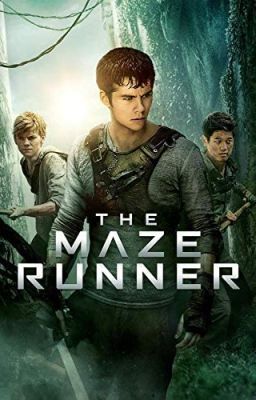 The Maze Runner Brothers