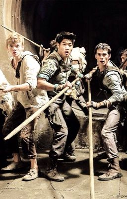 The Maze Runner Preferences