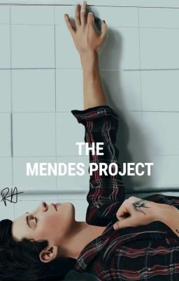 the mendes project [s.m]