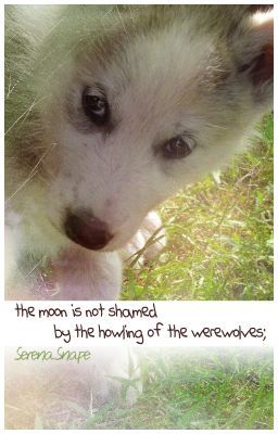 the moon is not shamed by the howling of the werewolves;