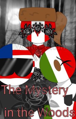 The Mystery in the Woods |Counrtyhuman AU| (Discontinued)