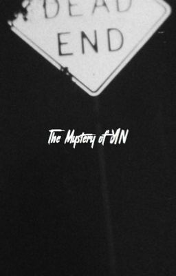 The Mystery of Y/N