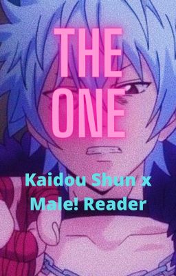 The One - Kaidou Shun x Male! Reader