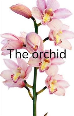 The orchid [harry styles]