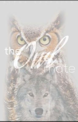 The Owl Mate