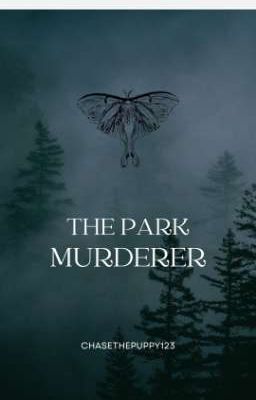 The Park Murder