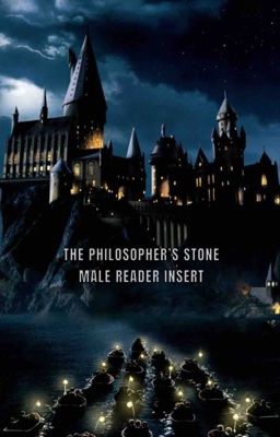 The Philosopher's Stone (Hermione Granger X Male Reader Insert)