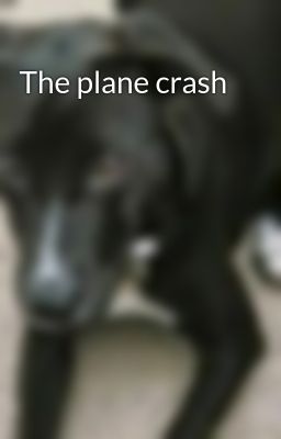The plane crash