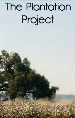 The Plantation Project