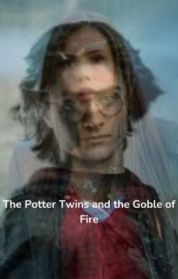 The Potter Twins and the Goblet of Fire