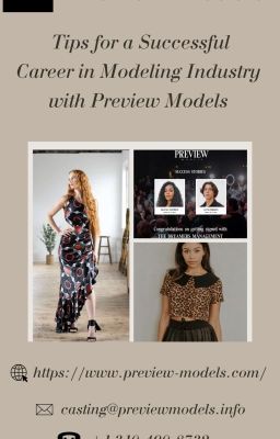 The preview model had top-notch support for the models.-Preview Models