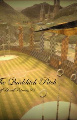 The Quidditch Pitch - Oliver Wood Love Story