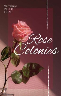 The rose Colonies