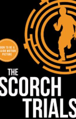 The scorch trials:Dangerous love