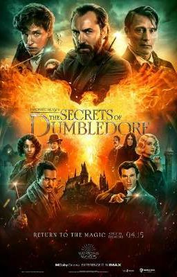 The Secrets of Dumbledore (Newt Scamander x Female!Reader)