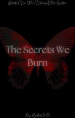 The Secrets We Burn 