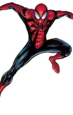 The Sensational Spider-man
