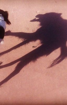 The Shadow Dog