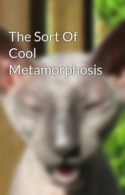 Read Stories The Sort Of Cool Metamorphosis - TeenFic.Net