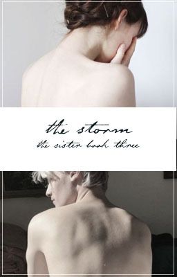 The Storm | The Sister book #3 | A Harry Potter Fanfiction