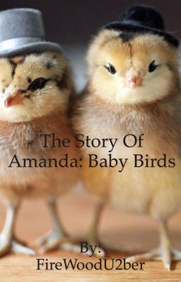 The Story Of Amanda: Baby Birds