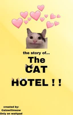 the story of the cat hotel!