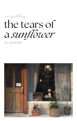 the tears of a sunflower