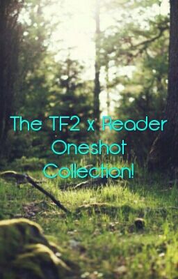 The TF2 x Reader Oneshot Collection!